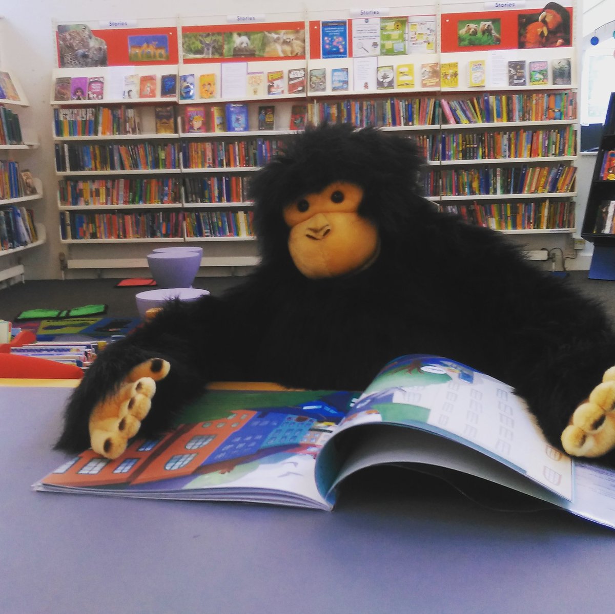 Bucks_Libraries's tweet photo. Borrow 20 books for free on your child's library card in all our libraries.
#namethatmonkey #reading #kids #lovelibraries๐ ZL https://t.co/nPbMtdIuhR