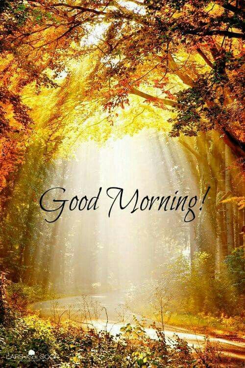macintoshgolf's tweet photo. Morning friends have a lovely Wednesday😁🎃😁 https://t.co/rehIkzOwny