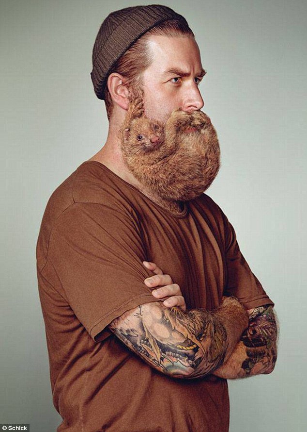 StubbleStrife's tweet photo. RT if your beard has made you an animal lover or fav if you think beards make you look like the gentlemen below #WorldAnimalDay https://t.co/bav421JWPd