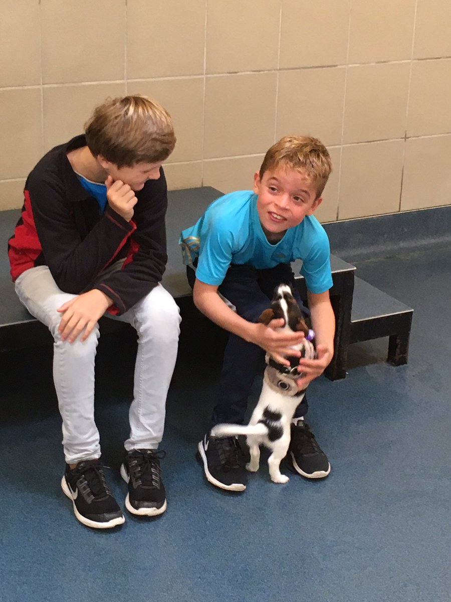 radnortm's tweet photo. Just met Beanie the Pup! #MaDD17 @RadnorHouseTW https://t.co/nsZxbvENFV