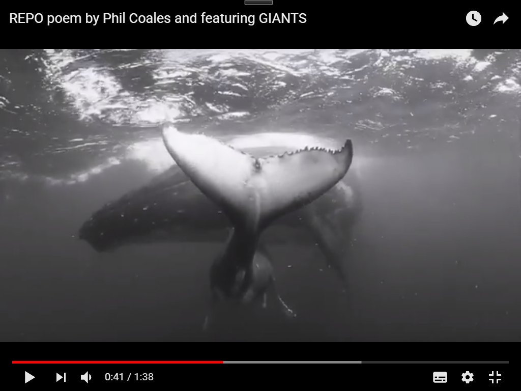 #POEMS4OCEANS Repo by Phil Coales, featuring music @SachaPuttnam and GIANTS film by Jem Cresswell WATCH full video > youyoumentoring.co.uk/poems4oceans