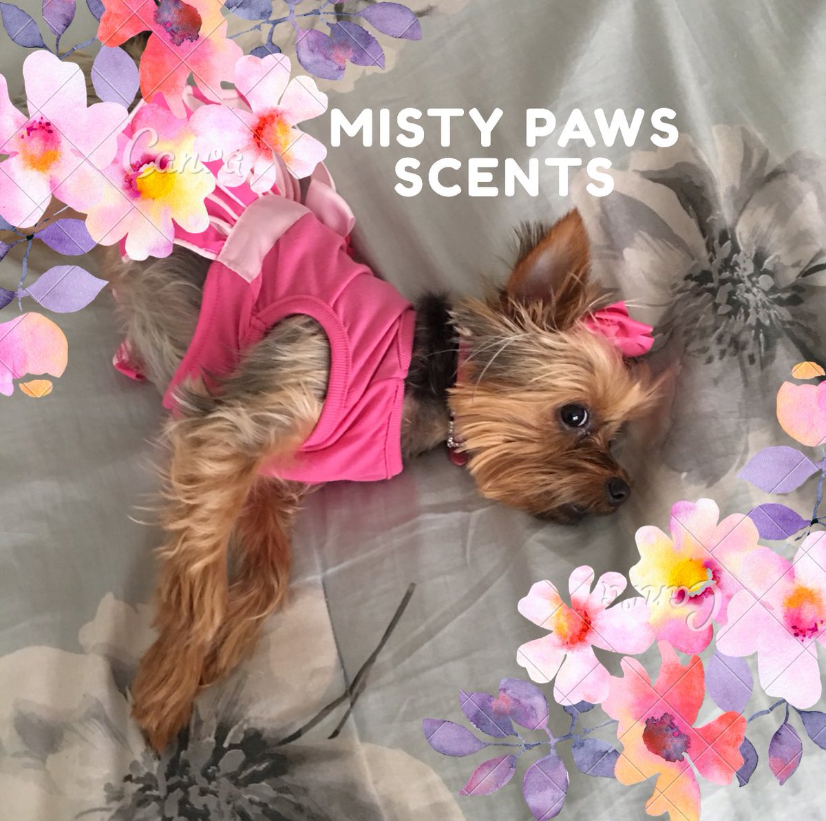 mistypawscents's tweet photo. Don't u want ur BABIES to SMELL as good as they 
LOOK!!! @mistypawscents #petsweekly #tailsmagazines #essentialoils #puppies #DogLover #pets https://t.co/yVY2W13KBX