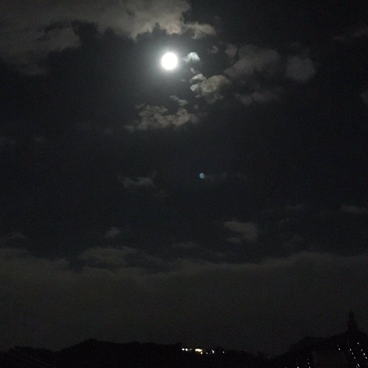 ruby_kii's tweet photo. ことしはお月見まんじゅうです。
#お月見 #中秋の名月 #中秋節 #MidAutumnFestival
#狆 #JapaneseChin #4Oct2017 https://t.co/hg9DFqzUV0