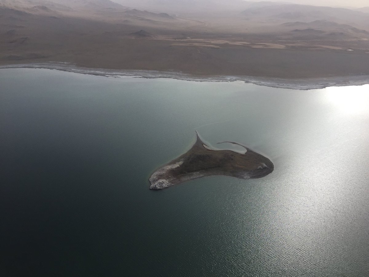 Тэлмэн нуурт