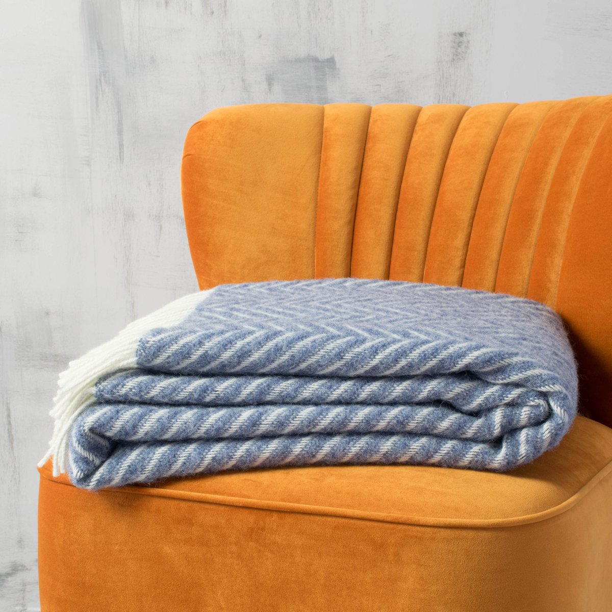 copperboomstud's tweet photo. It's pretty chilly in the studio today. We're grateful for all the blankets we've ever photographed!

@laurenastonknit #atlanticblankets https://t.co/iTyEnZHIzQ
