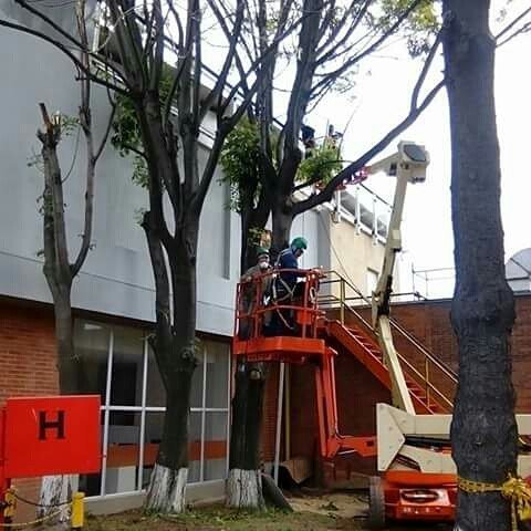 Boxservicios's tweet image. Encuentra en Nuestro portafolio servicios de Infraestructura y obra civil contactenos tel 237 50 39 3142605096