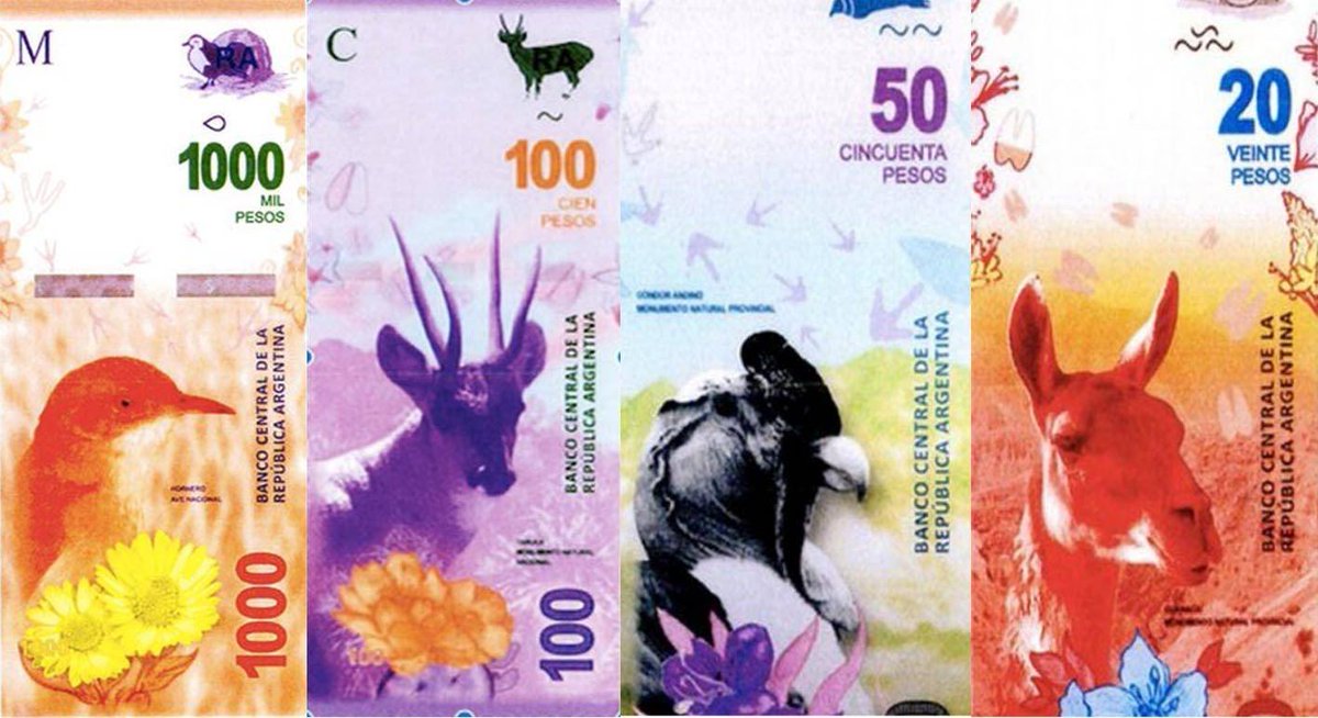 ondo_foundation's tweet photo. Los billetes que van a venir... todo un zoológico... #RuletaRusa https://t.co/t3zu2fyn5y