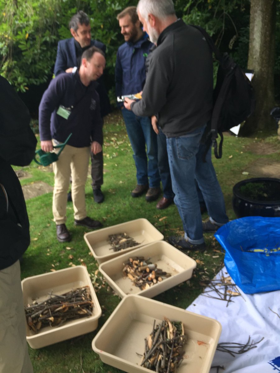 smdavies67's tweet photo. #SWTstaff17 - staff conference fun building beaver dams. The real thing are definitely better #naturalengineers https://t.co/69YPmUAuaI