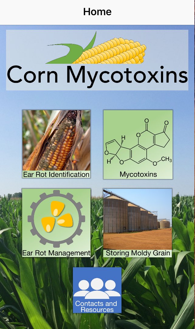 CWoloshuk's tweet photo. @plantdisease @PurdueExtension Free App corn ear rots &amp; mycotoxins available at https://t.co/zCvGamVV72. #PurdueAg https://t.co/pV8zPAqSzC