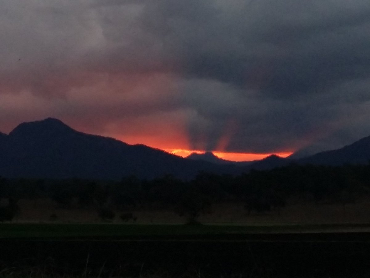 Small Towns tweet media