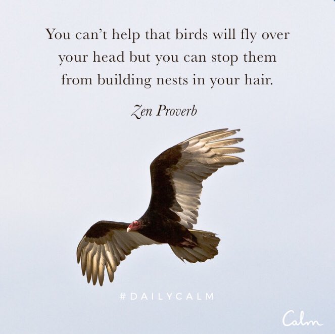 gogirlsmith's tweet photo. #21daysofcalm #meditation #theuniverse #bepresent #beprepared #benoreactive #mymomlife https://t.co/PX4N9ZCByE