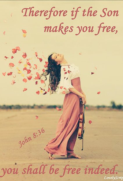 doucefeline's tweet image. 🌤Rise&amp;amp;Shine💫

So if the Son sets you free, you will be free indeed.
🦋John 8:36🦋

✅You are free in JESUS MIGHTY NAME!
#SavedByAnAmazingGrace