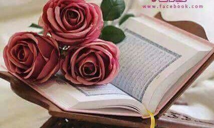 KCMUwugfau7jIp0's tweet photo. حين تثقلك الخيبات..
و يمزّقك الشّتات..
استجمع بعثرة روحك..
و احمل همّك وغمّك..
ثم ألقها في محراب المناجاة
#السلطانة https://t.co/fWEsWowvi4