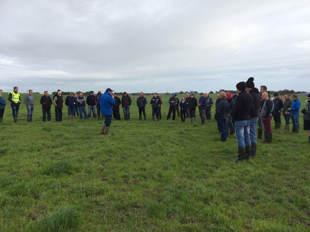 TeagascBeef's tweet photo. #GRASS10 Beef walk this morning in Teagasc Johnstown Castle in conjunction with Wexford beef advisers #beeftechtransfer https://t.co/UuG4ueoPDt