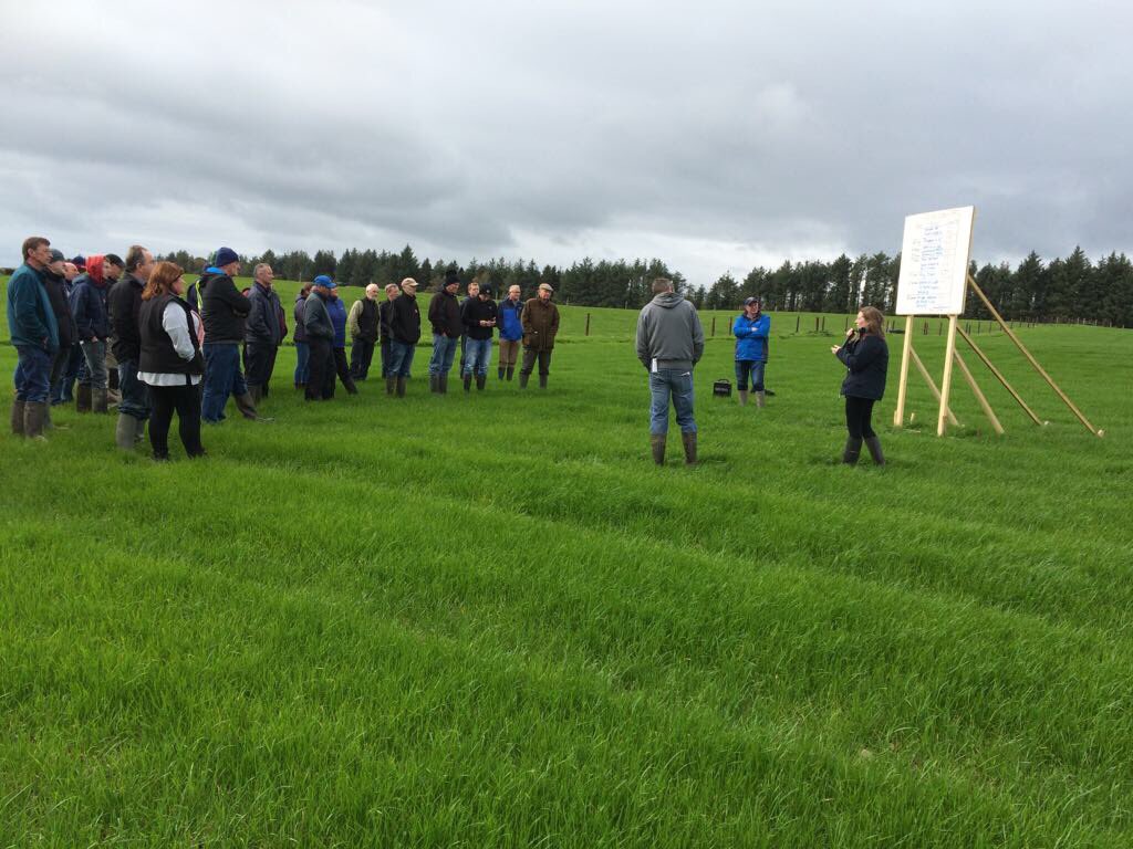 TeagascBeef's tweet photo. #GRASS10 Beef walk this morning in Teagasc Johnstown Castle in conjunction with Wexford beef advisers #beeftechtransfer https://t.co/UuG4ueoPDt