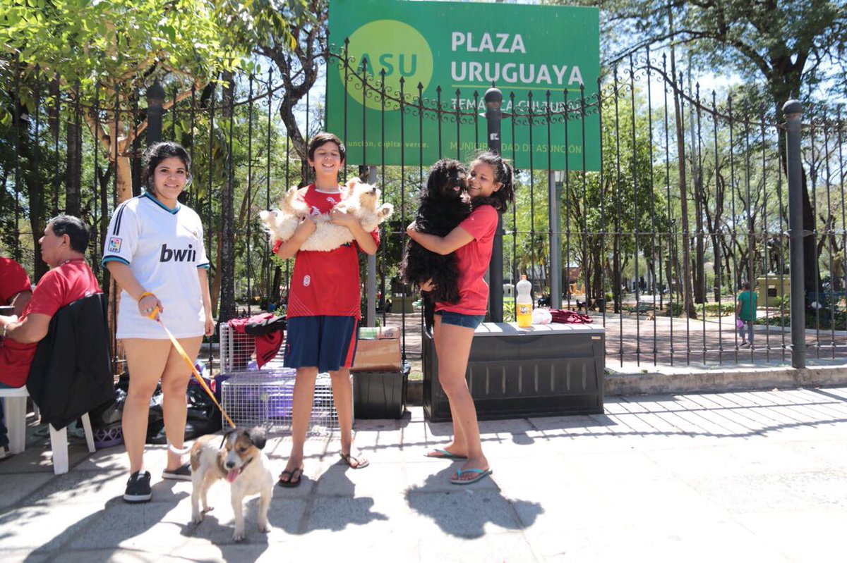 HugoRamirezANR's tweet photo. Así vivimos el ”Día Mundial del Animal” en la Plaza Uruguaya con atención gratuita de la Clínica Veterinaria Móvil a los peludos. 🐾🐾 https://t.co/WUWVqHrQS3