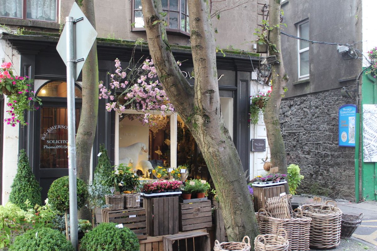 The <a href="/GalwayLatinQtr/">The Latin Quarter Galway</a> was looking splendid last week and always nice to see some colour 🤗