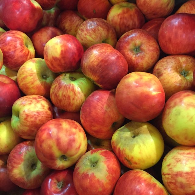prospectfarmers's tweet photo. 2nd last market with new vendors, farm fresh and local crafts @AMPGuardian @MarketFreshNS @TwitCoast @LenaDiabNS @SelectNS @SocksMadeOn88 https://t.co/KSL3OnCMZ4