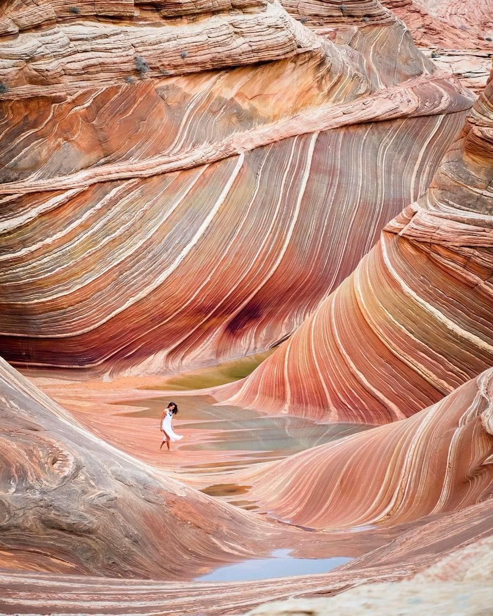 🇺🇸 The Wave, Arizona, United States | 📸 Travis Burke #travel #photography