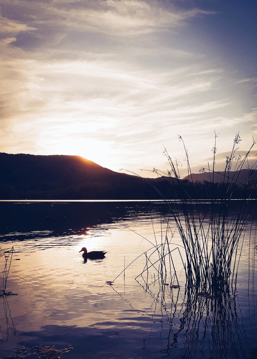 JoanTriasVa's tweet photo. Lliure! 🙌😊 @TurismeBanyoles #incostabrava @costabrava @DescobreixCat @catexperience @instagram #WHPdayoff
📸 https://t.co/9PcGSgSsaG. https://t.co/sYnRznW0Eq