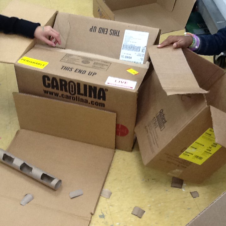 boxes+recyclables+5th grade ingenuity=Cardboard Challenge