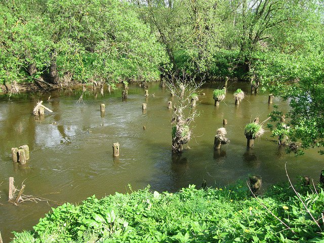 Беларусь: Круглое dlvr.it/PsN3Y5