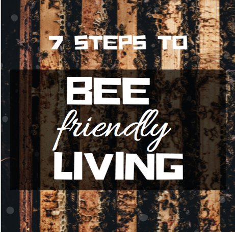 thehivebox's tweet photo. 7 Steps to Bee-Friendly Living! https://t.co/KUhfYtVM32 https://t.co/e4KpoIZAkN