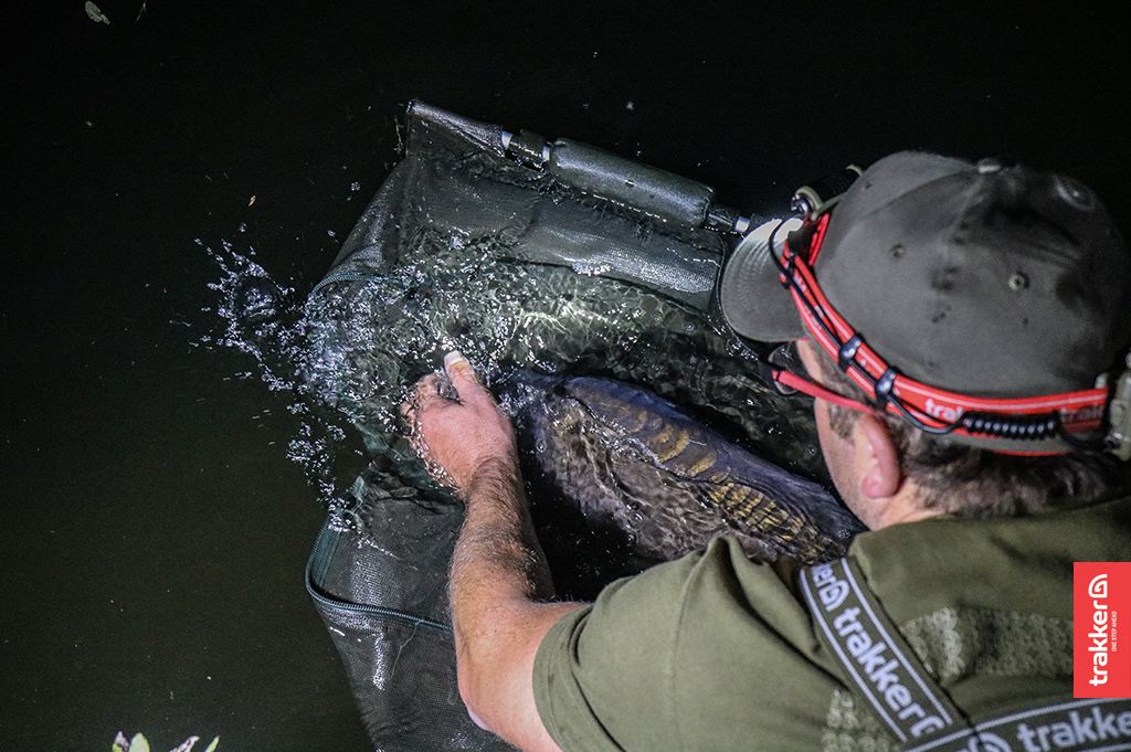 <a href="/JerryBridger/">Jerry Bridger</a> wearing our new Nitelife L4 Headtorch whilst returning a hard-fighting Blue Pool mirror.

#Trakker #TeamTrakker