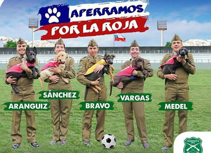 PerrosSec's tweet photo. Con la fuerza ,garra y corazón de nuestro pequeños seleccionados .Les decimos APERRAMOS POR LA ROJA @LaRoja @C1audioBravo @Carabdechile https://t.co/T7hpYf9kWo