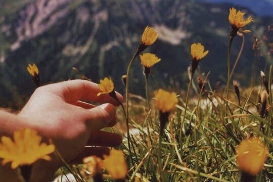 chapter030423's tweet photo. Daisies
Hazy
In love
Crazy

Ember
Tender
You kissed me,
Remember.

#noren #젠런 https://t.co/1h9o7Qx4QR