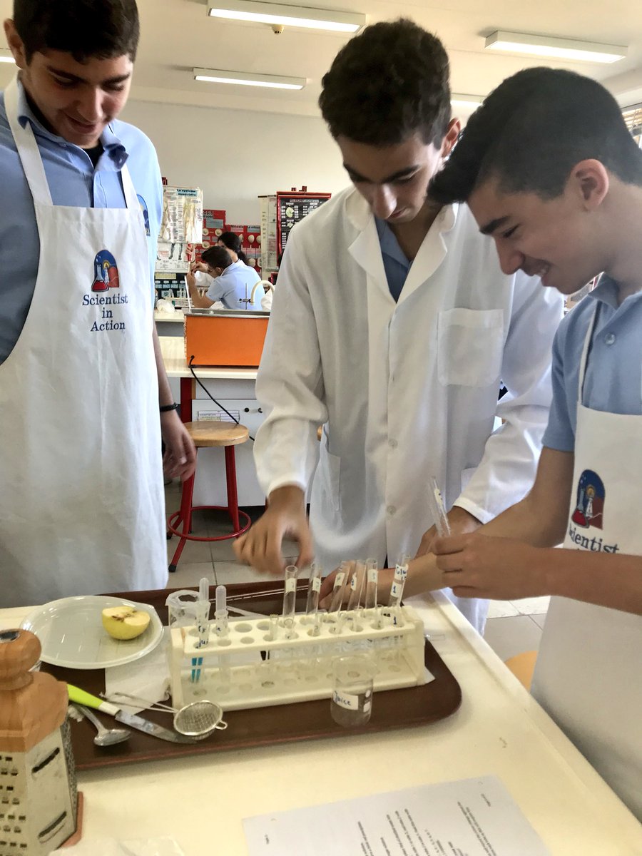 RoweidaB's tweet image. Unfolding the semi quantitative nature of Benedict’s #ibbio #topic2 @monamajzoub @Hhhsinfo