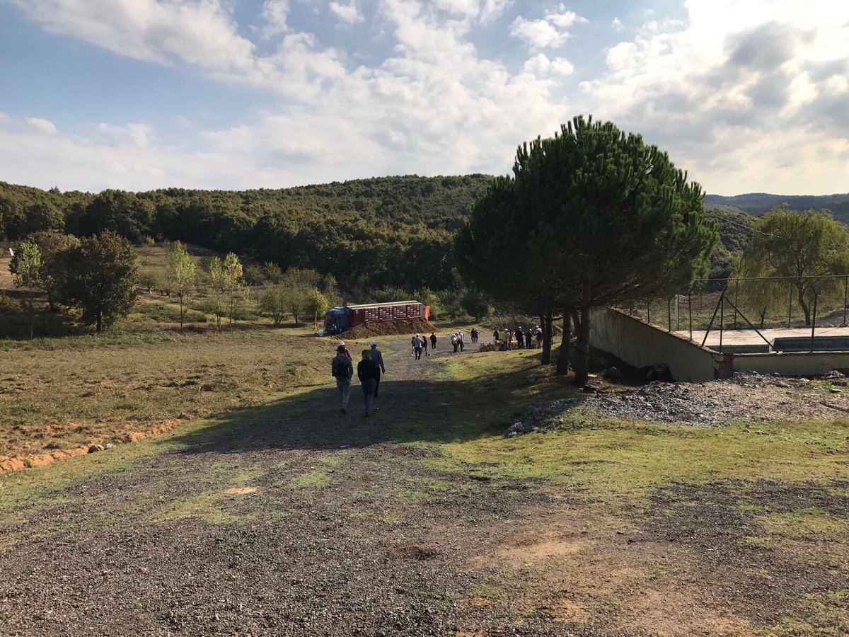 Türkiye Arıcılığı - Turkey Apiary