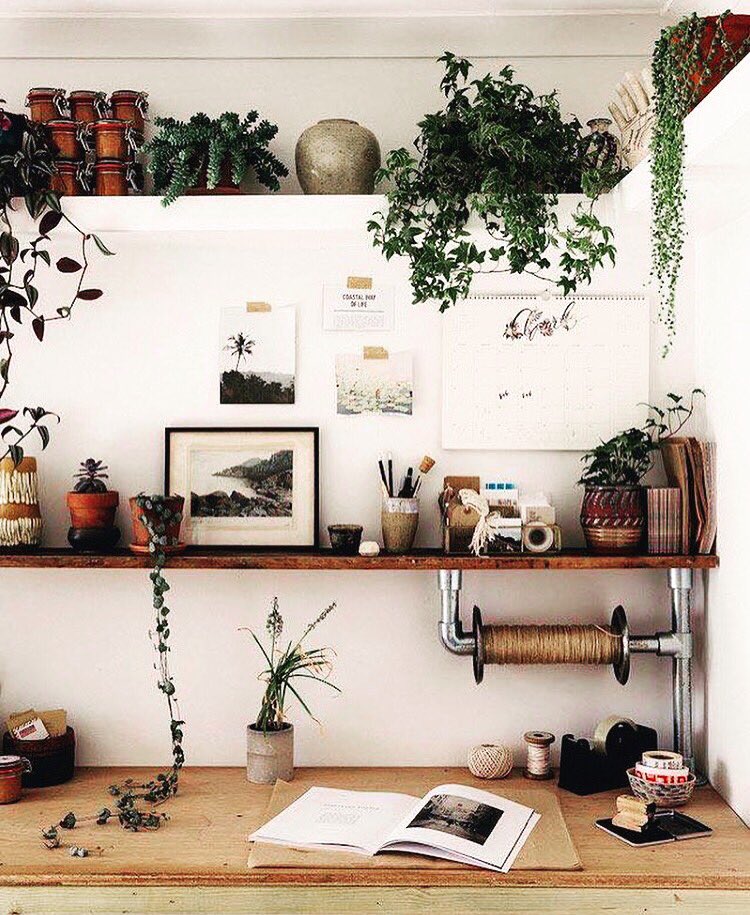 abearhouse's tweet photo. We always enjoy a workspace full of life and greenery, and this office qualifies! Tag your pics #whatsonyourdeskwednesday to be featured! https://t.co/EMesNn82uq