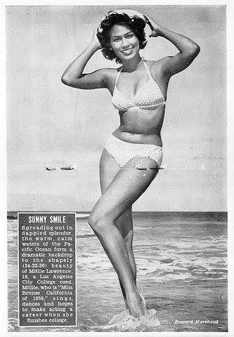 Models Of Diversity tweet media