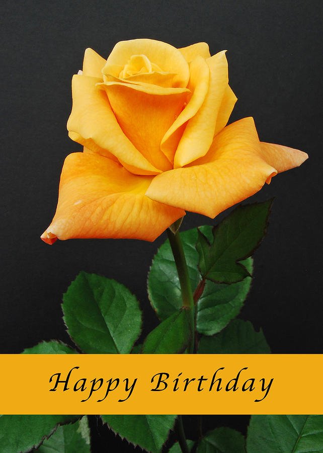 Happy Birthday in heaven Jackie Collins! How I love and miss you!  
