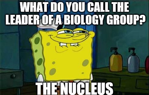 Chief__Nucleus's tweet photo. #organelleelection2017 https://t.co/g69XZ9DZ09