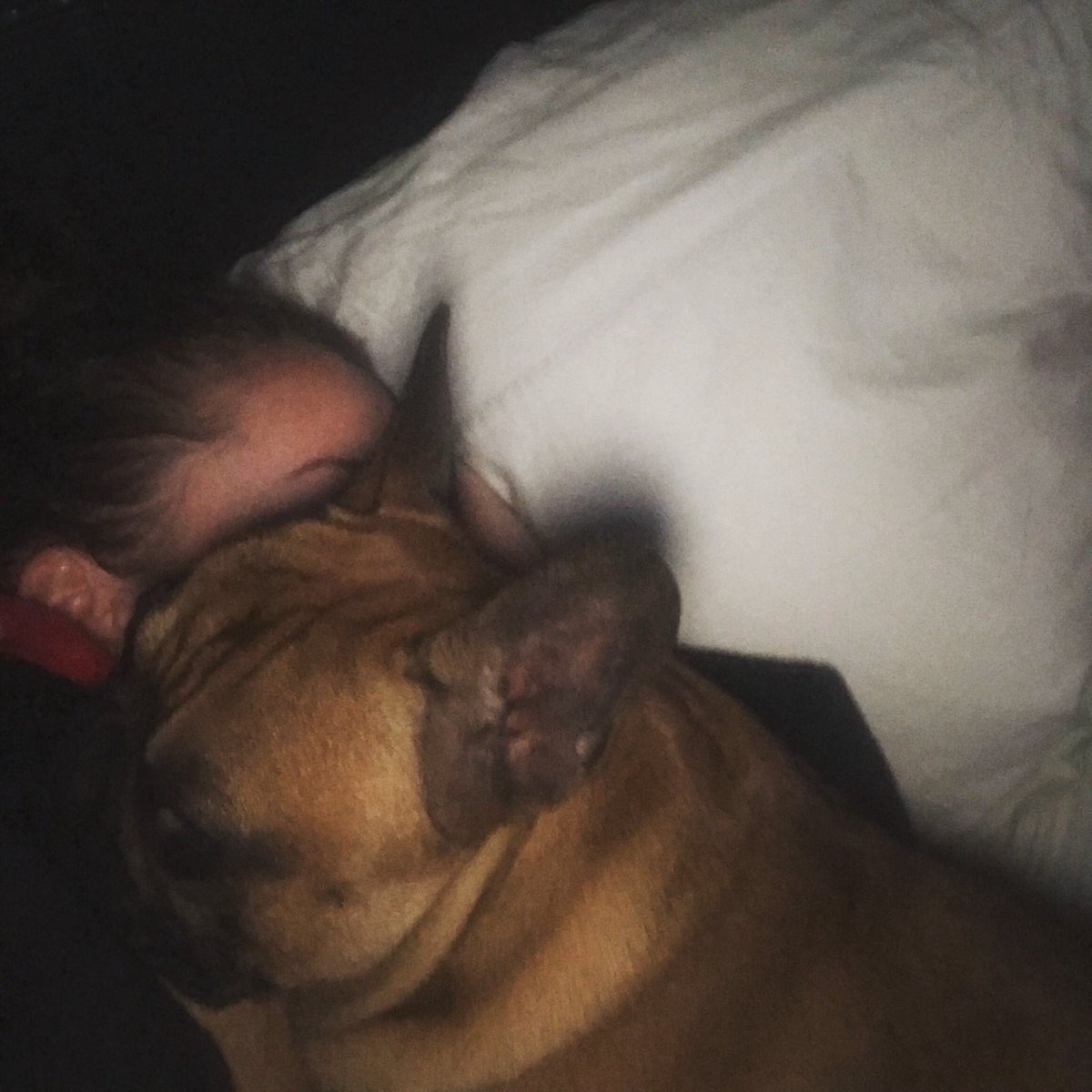 Poorly sick &amp; dying! Nurse Hercules in call!
