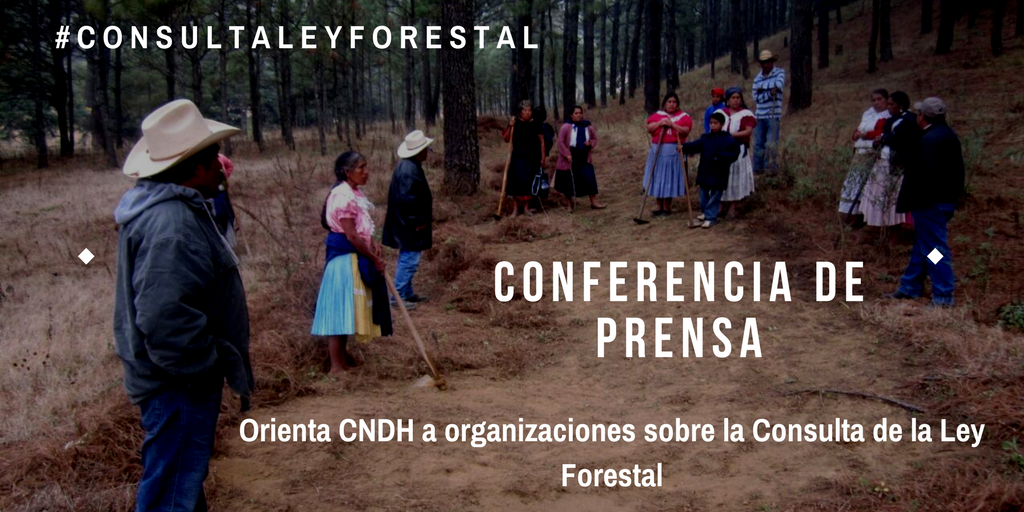 RedMocaf's tweet photo. En unos minutos comenzamos con nuestra Conferencia de Prensa @CNDH #ConsultaLeyForestal https://t.co/10XK3AitLI