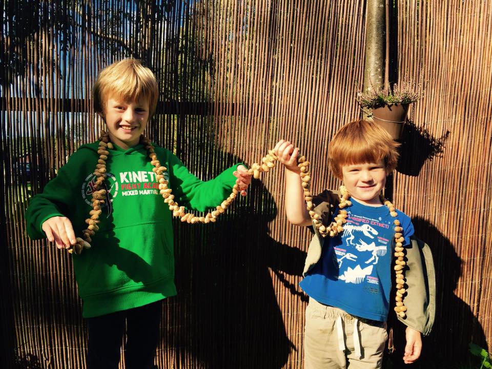 whizzpopbangmag's tweet photo. Check out this awesome peanut string! Well done boys! Your garden birds will thank you :) #feedthebirds #wpbshare #issue26 #autumnactivities https://t.co/gzdMu0x22b