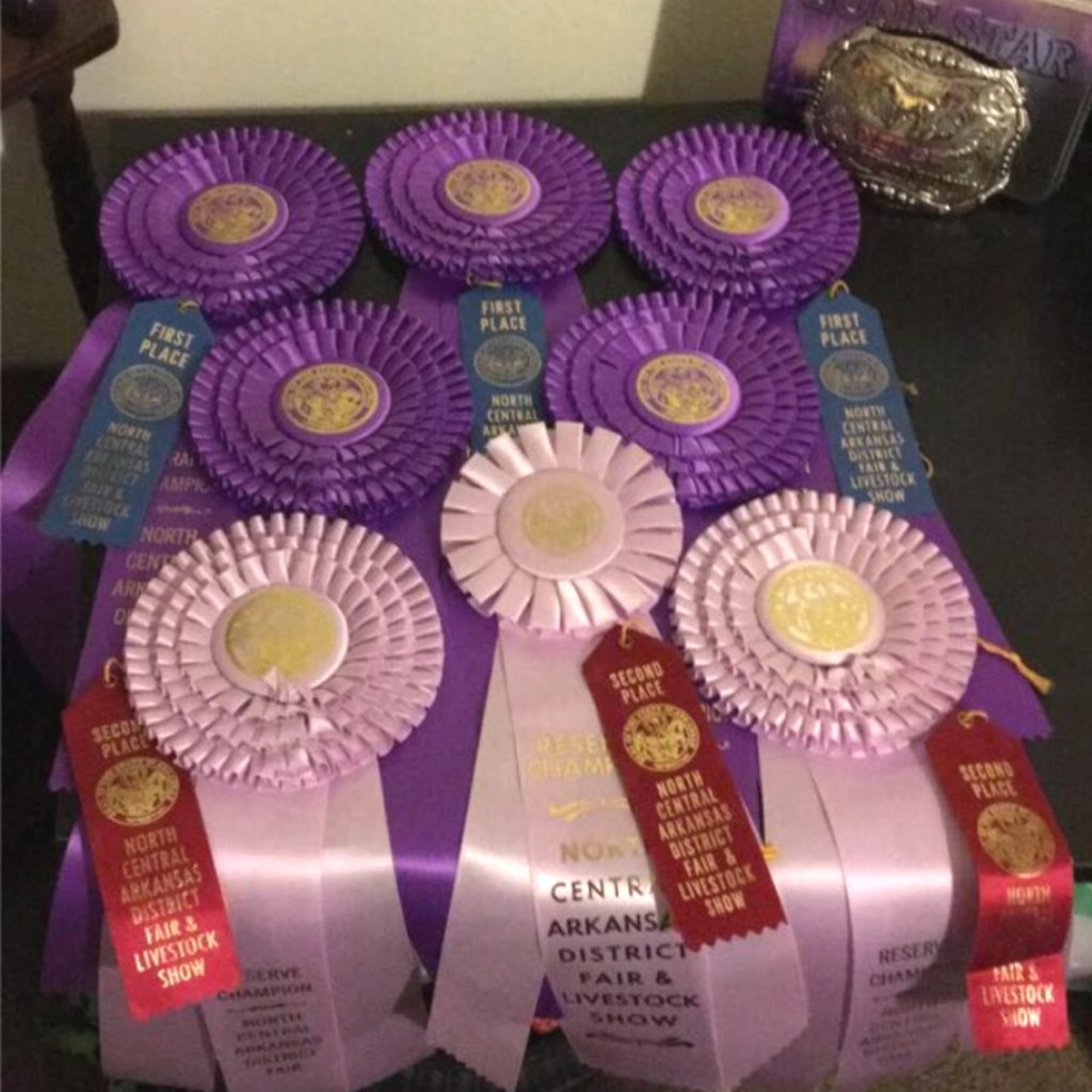 2017 North Central Arkansas District Fair - The 2017 North Central Arkansas District Fair is in the ... - southsideschools.org/index.php/2017… ...