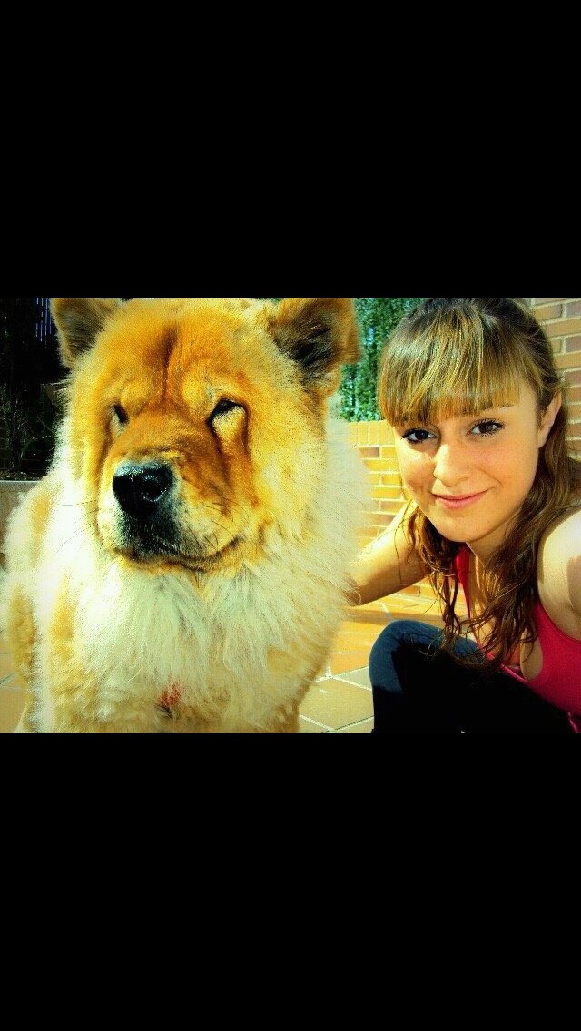 Nines14's tweet photo. Toda una vida junto a ti mi leona🦁 #nala #Zapeando969 https://t.co/NTJd4iZHGR