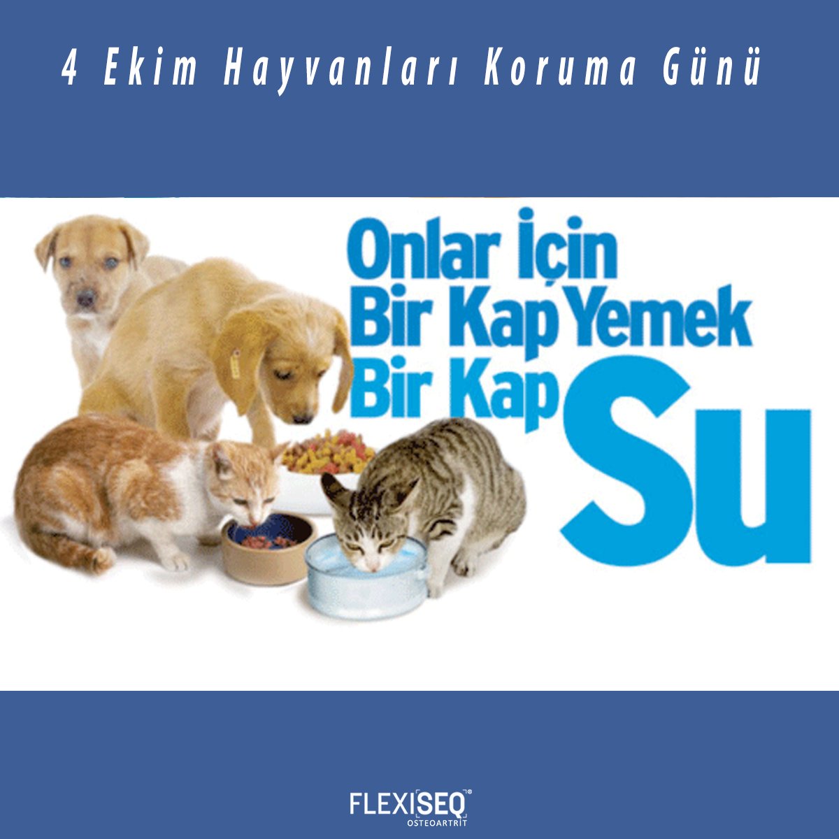FLEXISEQtr's tweet photo. 4 Ekim Hayvanları Koruma Günü https://t.co/IgLTPCOwa3