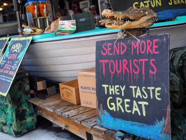 supermangeek101's tweet photo. #UnusualWarning This Alligator is really hungry for some young, happy tourists to eat! Listen to the gator! Don't let him starve! https://t.co/PKUi6a3crQ