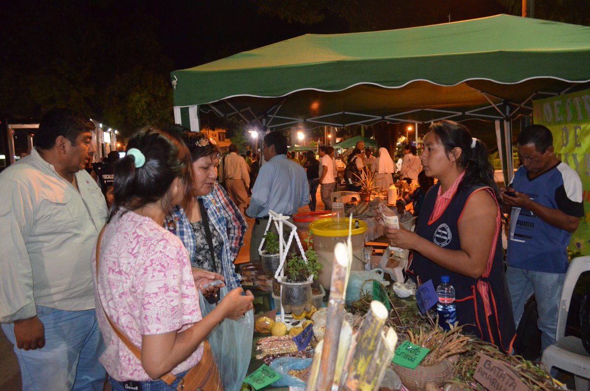 ProHuertaSalta's tweet photo. 1º Feria provincial de semillas en la plaza San Martín de Tartagal: 
https://t.co/RoI1syNgWM https://t.co/FmLN8iSPZn