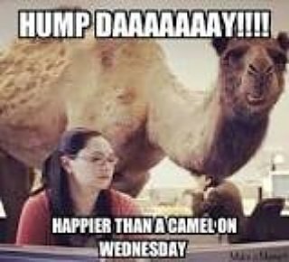 happy hump day, 47th st/park av great day for a famous Carl's philly cheesesteak @nfl @mlb cheesesteak lovefor all GOT WHIZ? #carlssteaks