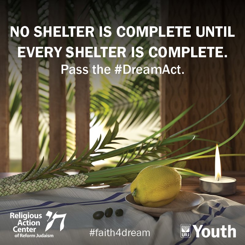 TheRAC's tweet image. As we rejoice in our sukkot, offering thanks for God's protection during our years of wandering, let us act for those still in search of a permanent, better life in a new homeland. Read more about Sukkot and the #DreamAct: bit.ly/2yHWqQV #Faith4Dream