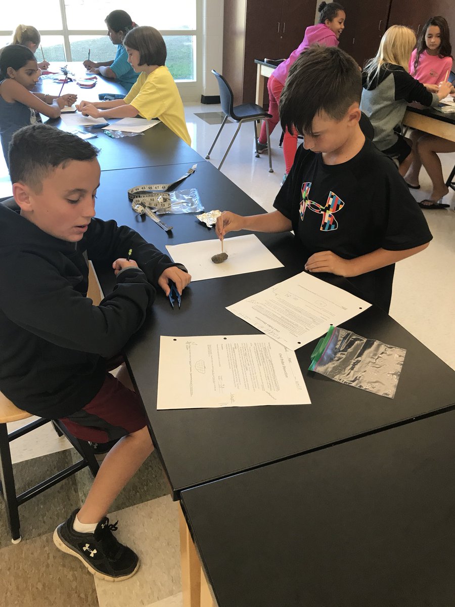 BrownRCES's tweet image. Dissecting Barn Owl pellets is very interesting!! #oneRCE #Lex1Leads