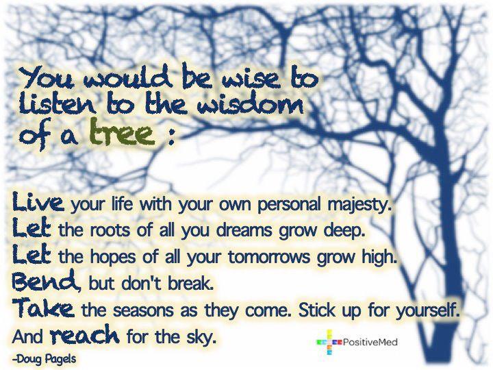 ForestryDeptJa's tweet photo. There are many life lessons and values to learn from #trees. It would do us good to learn just a few of them. #WednesdayWisdom #NTPD2017 https://t.co/kPL8WLY1bl