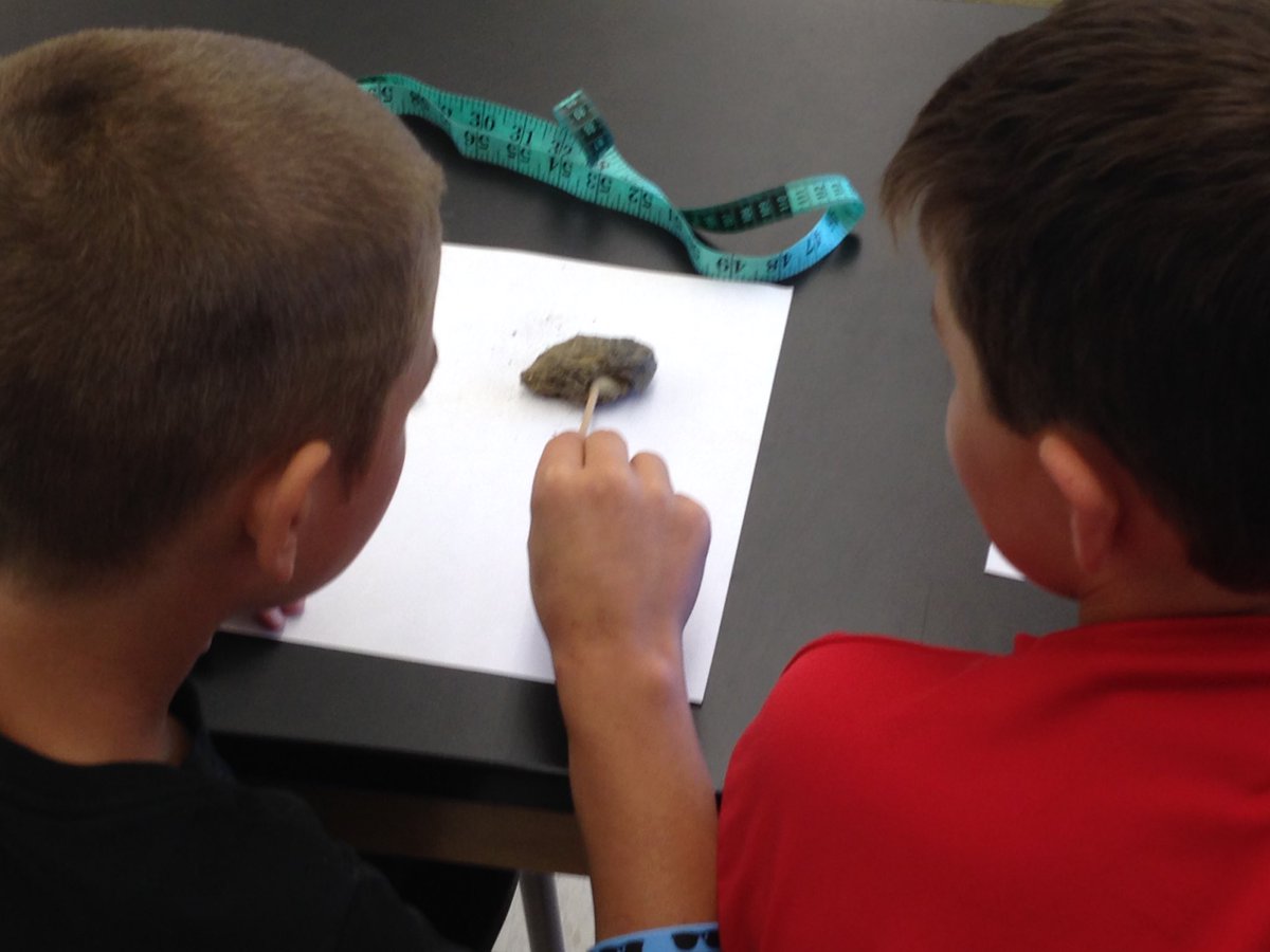 RCESLex1's tweet image. The students in @BrownRCES class are collecting lots of qualitative and quantitative data as they dissect their owl pellets. #oneRCE