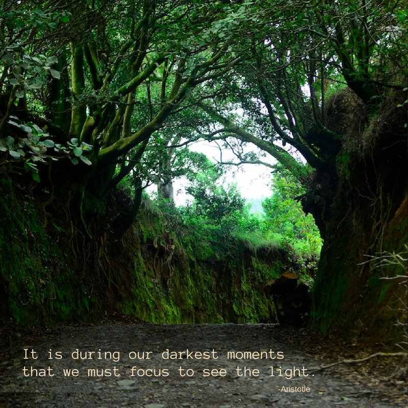 "It is during our darkest moments 
that we must focus to see the light." -Aristotle